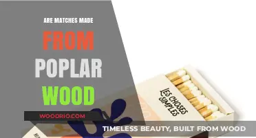 Exploring the Surprising Truth: Are Matches Really Made from Poplar Wood?