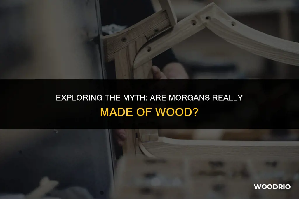 are morgans made of wood