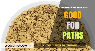 Exploring the Benefits of Mulberry Wood Chips for Pathways