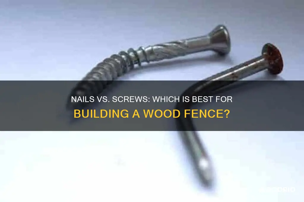 are nails or screws better for wood fence