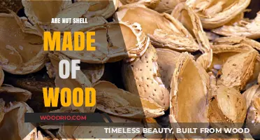 Unveiling Nature's Mystery: Are Nut Shells Really Wooden?