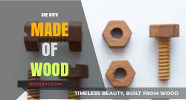 Unveiling Nature's Mystery: Are Nuts Truly Made of Wood?