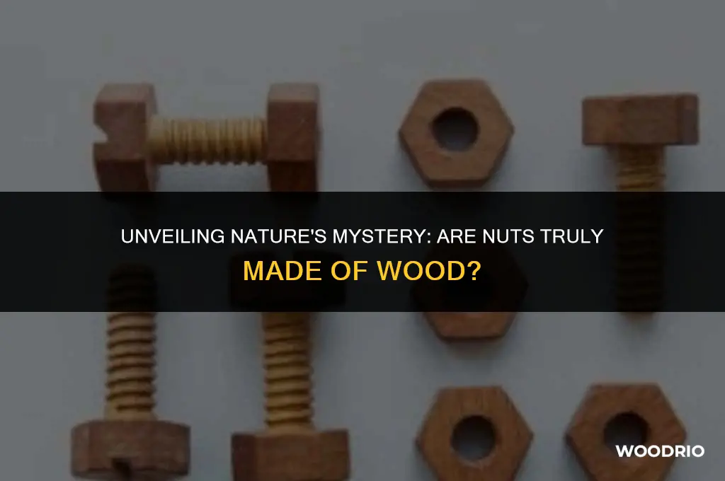 are nuts made of wood