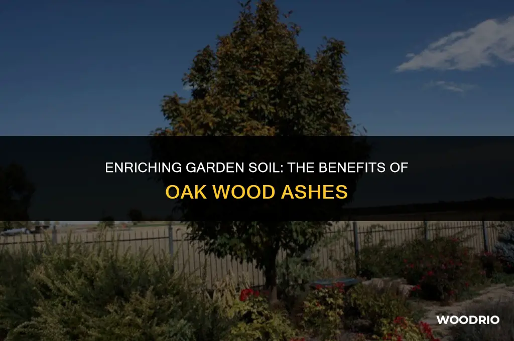 are oak wood ashes good for garden soil