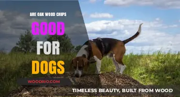 Are Oak Wood Chips Safe for Dogs? A Comprehensive Guide