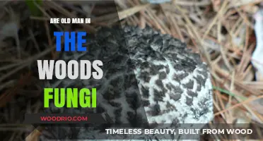 Unveiling the Mystery: Are Old Man in the Woods Fungi?