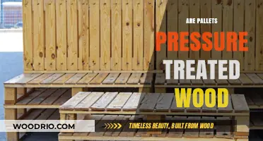 Understanding Pallets: Are They Made from Pressure-Treated Wood?
