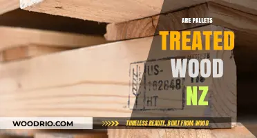 Exploring the Use of Treated Wood Pallets in New Zealand