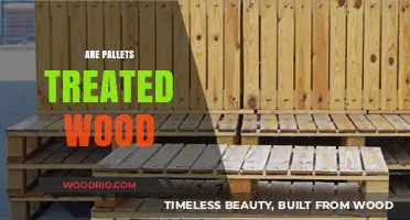 Unveiling the Truth: Are Pallets Made from Treated Wood?