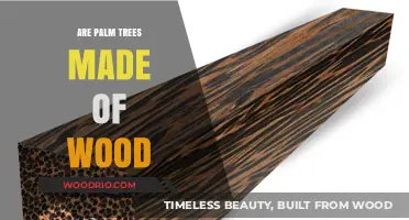 Unveiling Nature's Secret: The Wooden Structure of Palm Trees