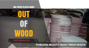 Unveiling the Truth: Are Paper Plates Really Made from Wood?