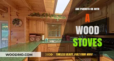 Wood Stoves and Parrots: A Safe Coexistence?