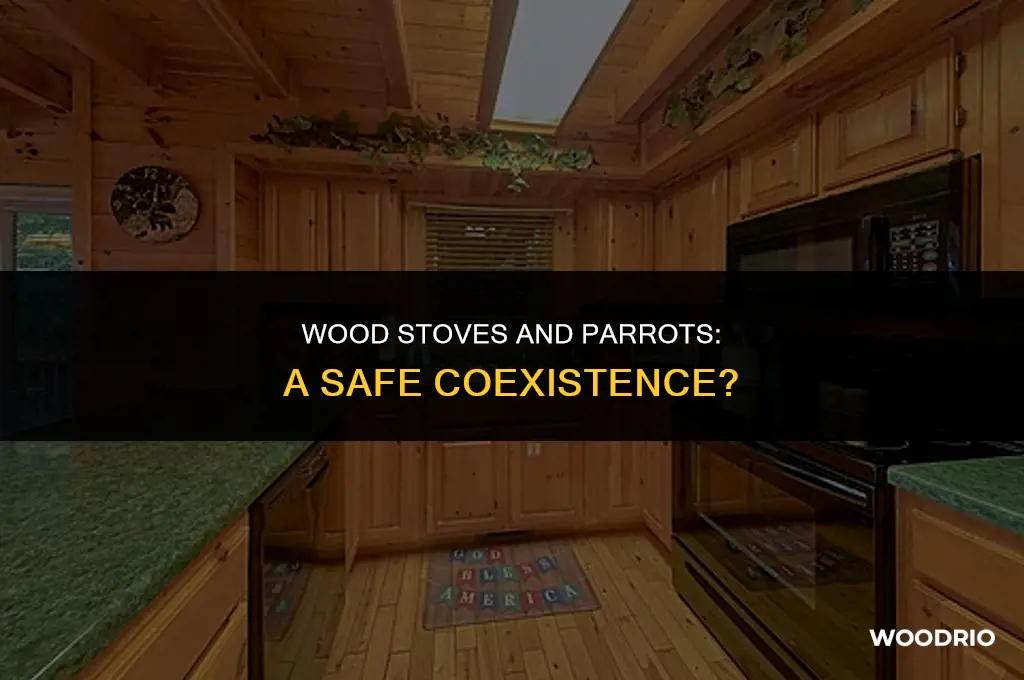 are parrots ok with a wood stoves