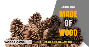 Unveiling Nature's Secret: The Surprising Truth About Pine Cones