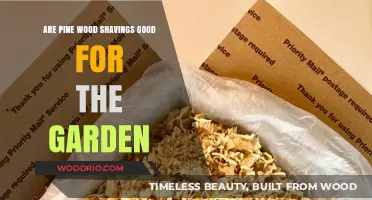 Pine Wood Shavings: A Natural Boost for Your Garden's Health