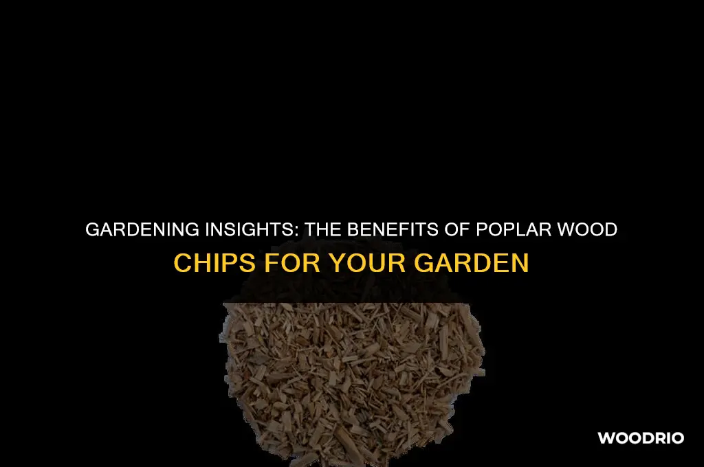 are poplar wood chips good for the garden