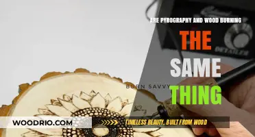 Exploring the Art of Wood Burning: Pyrography Unveiled