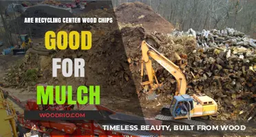 Sustainable Landscaping: The Benefits of Recycling Center Wood Chips as Mulch