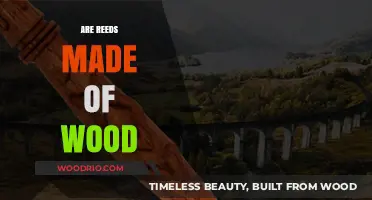 Unveiling the Truth: Are Reeds Really Made of Wood?