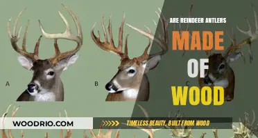 Unveiling the Natural Wonder: Reindeer Antlers' Composition Explained