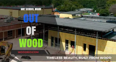 Exploring the Myths and Facts: Are Schools Really Made Out of Wood?