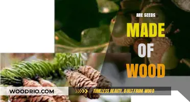 Exploring the Surprising Truth: Are Seeds Really Made of Wood?