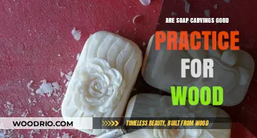 From Soap to Wood: Carving Skills Transfer and Artistic Growth