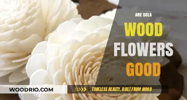 Exploring the Beauty and Durability of Sola Wood Flowers