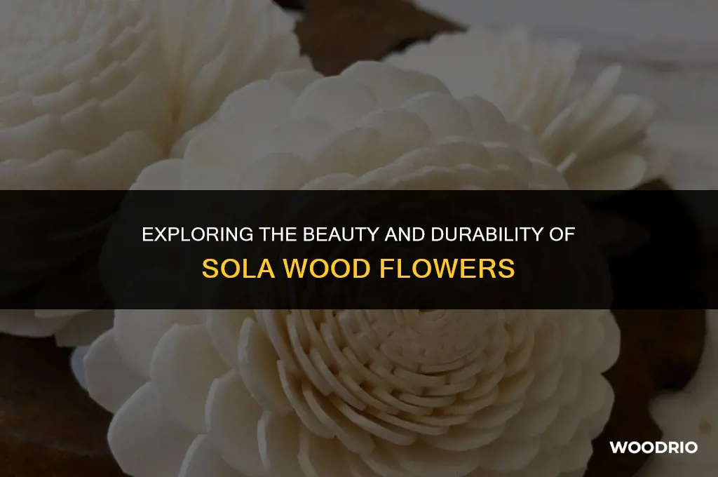 are sola wood flowers good