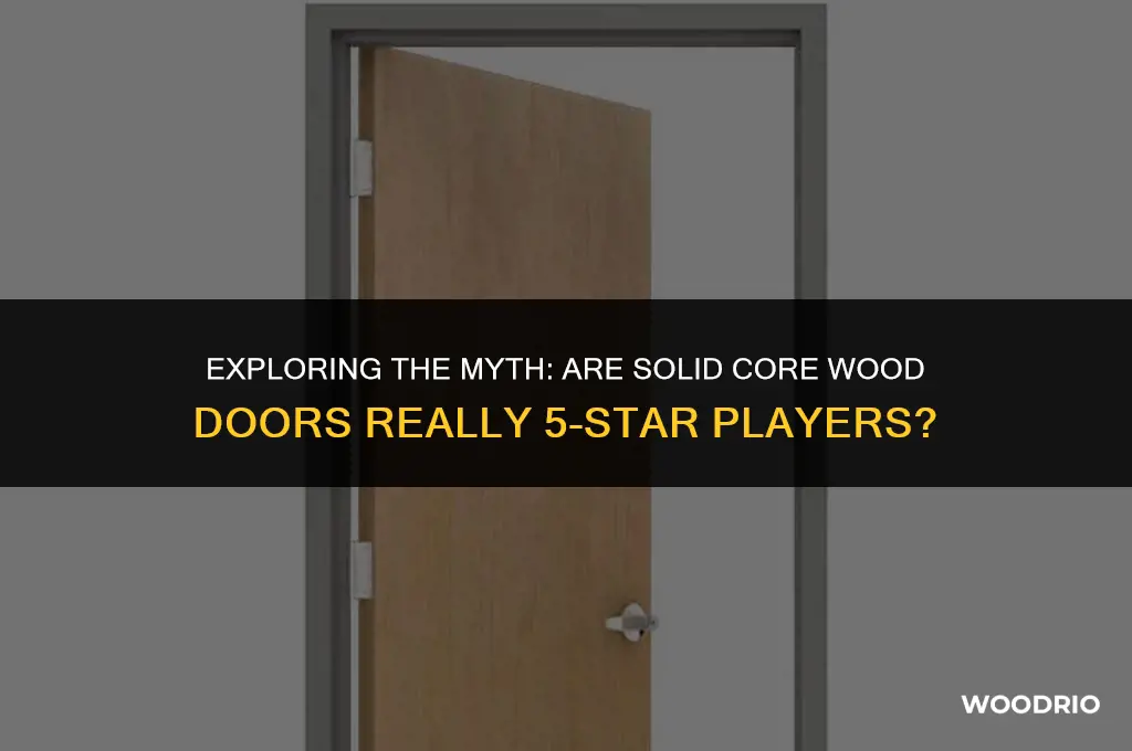 are solid core wood doors 5 play