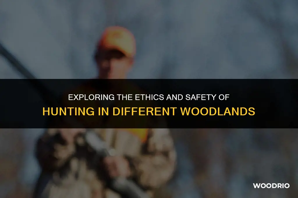 are some woods not a good place for hunting