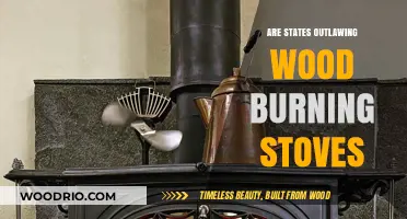 The Crackling Controversy: Are Wood Burning Stoves Facing Extinction?