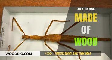 Unveiling the Truth: Are Stick Bugs Really Made of Wood?