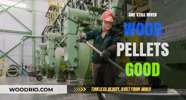 Exploring the Quality and Benefits of Still River Wood Pellets