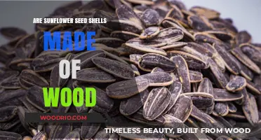 Unveiling Nature's Secret: The Surprising Truth About Sunflower Seed Shells