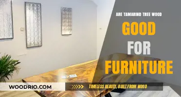 Exploring Tamarind Tree Wood: A Sustainable Choice for Furniture?