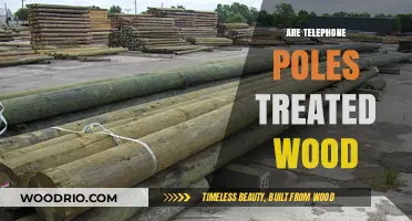 Exploring the Durability: Are Telephone Poles Made from Treated Wood?