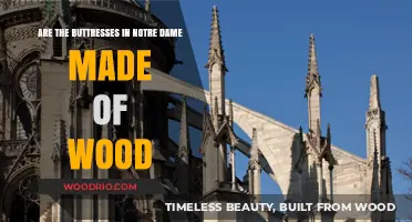 Unveiling the Mystery: Notre Dame's Buttresses - Wooden Wonders or Stone Pillars?