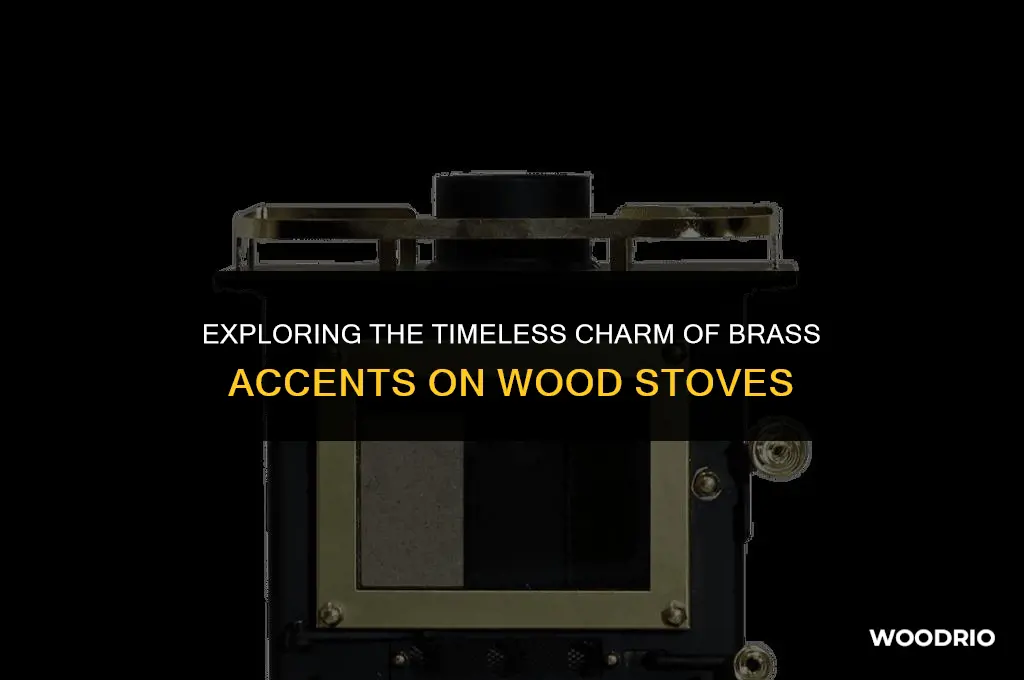 are the doors on my wood stove brass