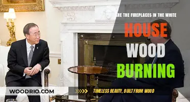 Exploring the Hearth: Are the White House Fireplaces Wood-Burning?