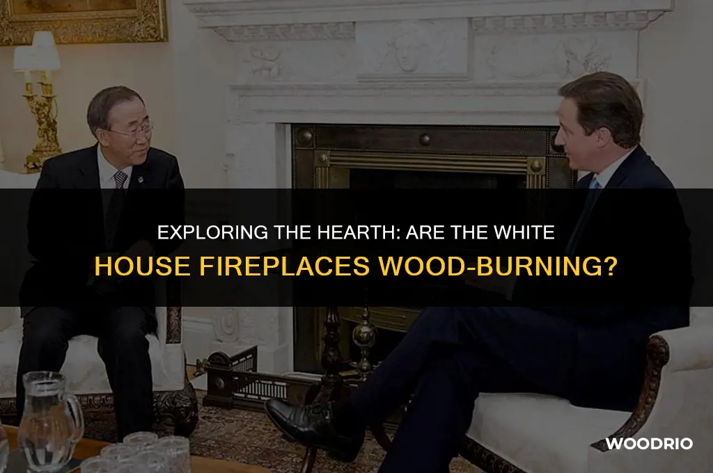 are the fireplaces in the white house wood burning