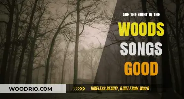 Exploring the Haunting Melodies of Night in the Woods