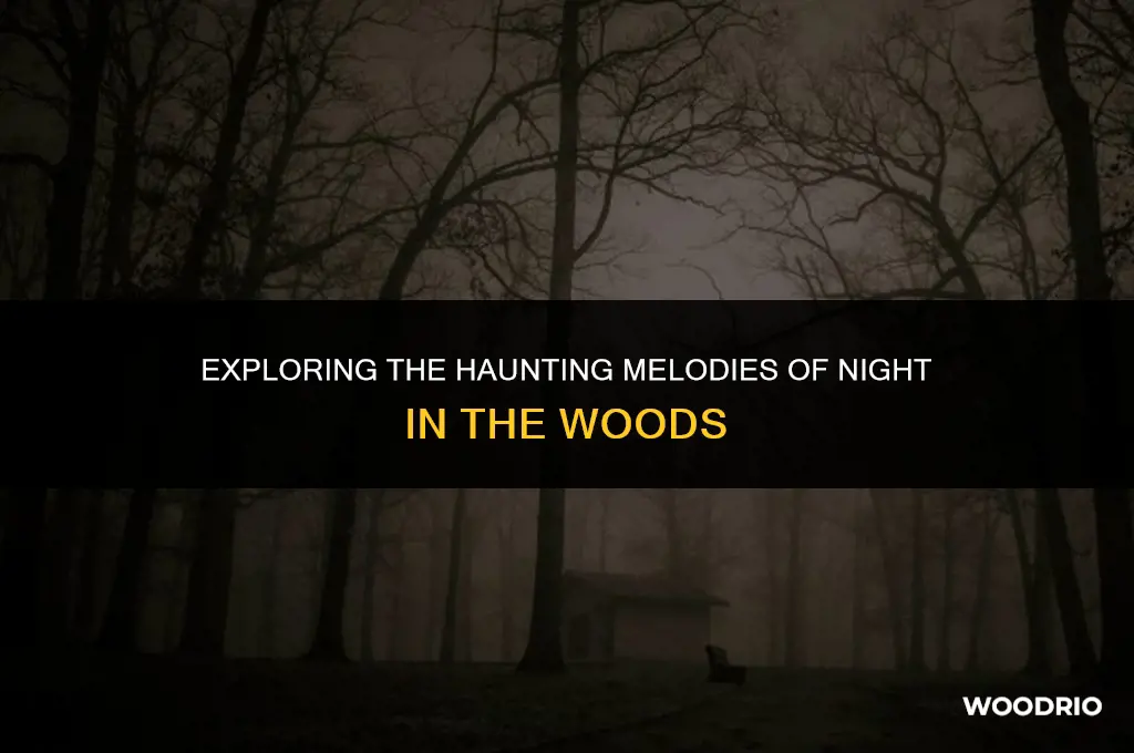 are the night in the woods songs good