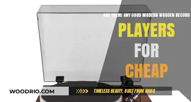 Affordable Modern Wooden Record Players: A Buyer's Guide