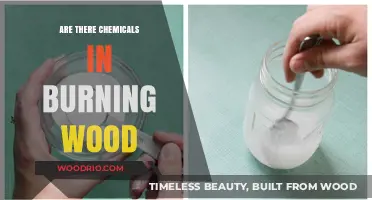 Unveiling the Truth: Chemicals Released When Wood Burns