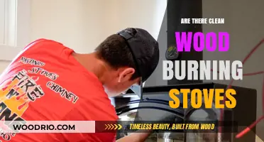 Exploring the Eco-Friendly Options: Clean Wood Burning Stoves