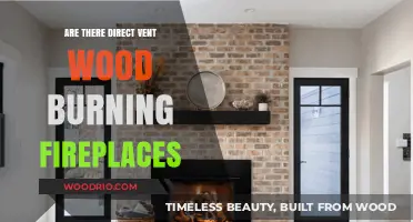 Exploring the Efficiency and Safety of Direct Vent Wood Burning Fireplaces