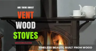 Exploring the Efficiency and Safety of Direct Vent Wood Stoves
