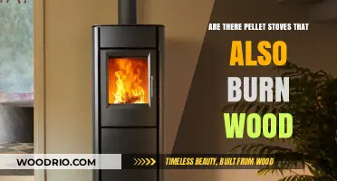 Exploring Dual-Fuel Options: Pellet Stoves That Burn Wood Too