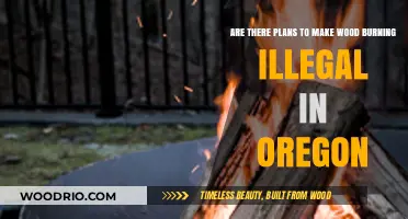 Oregon's Future: The Potential Ban on Wood Burning